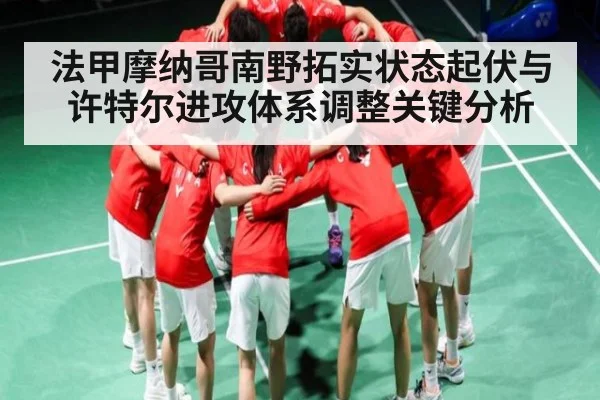法甲摩纳哥南野拓实状态起伏与许特尔进攻体系调整关键分析 - NG28