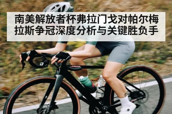 南美解放者杯弗拉门戈对帕尔梅拉斯争冠深度分析与关键胜负手 - NG28